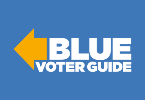 Blue Voter Guide